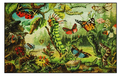 Vloerkleed 'Insecten tuin'