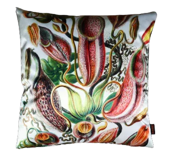 Sierkussen 'Nepenthes'