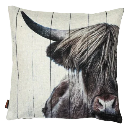Sierkussen met close-up print van een Schotse Hooglander koe met lange haren en hoorns
