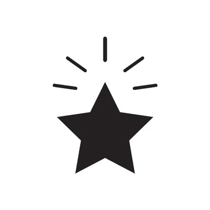 Zwarte vijfpuntige ster met stralen op witte achtergrond, symbool voor uitmuntendheid