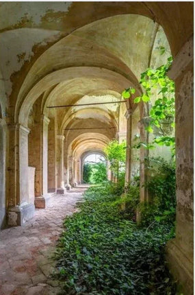 Verlaten gebouw met overwoekerde gang vol groene planten en hoge bogen in vervallen staat