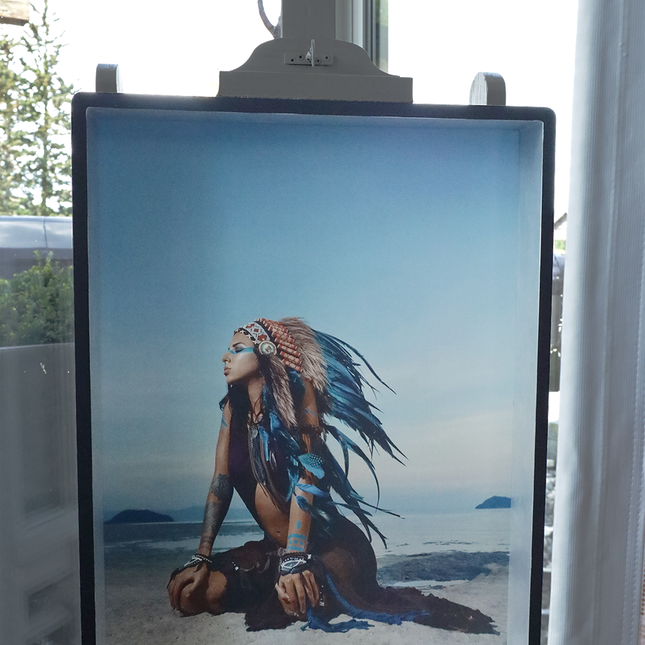 Aluart schilderij ' The Indian woman'