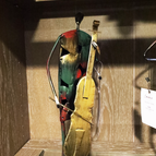 Cello