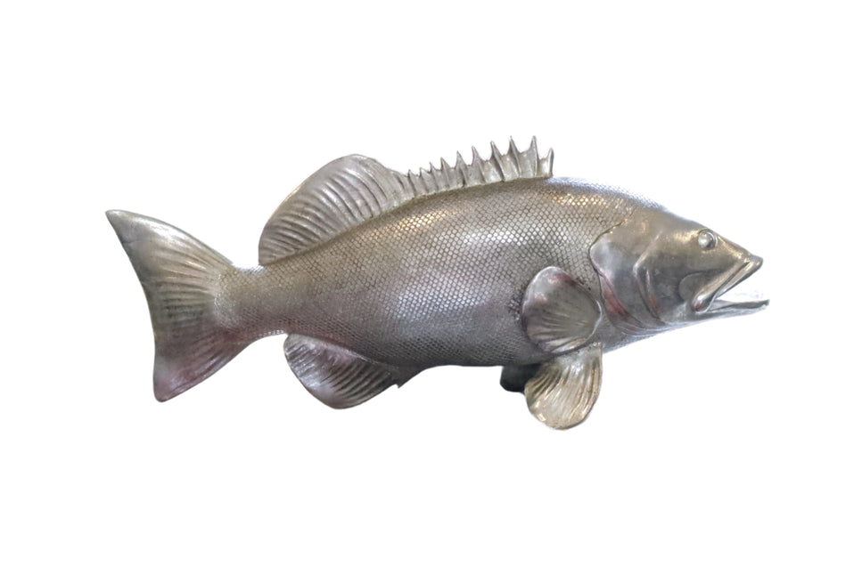 Beeld 'Silver Bass'