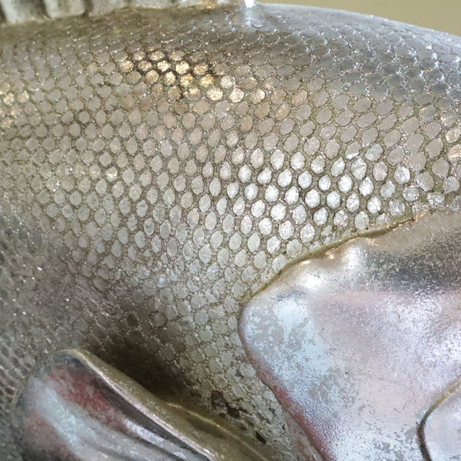 Beeld 'Silver Bass'
