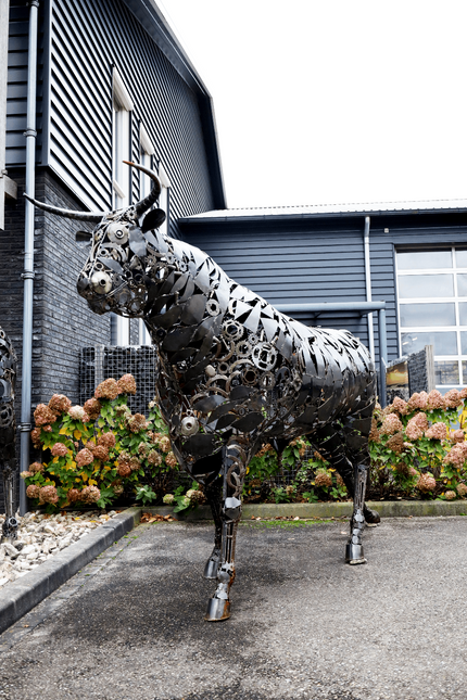 Beeld 'Iron Bull'