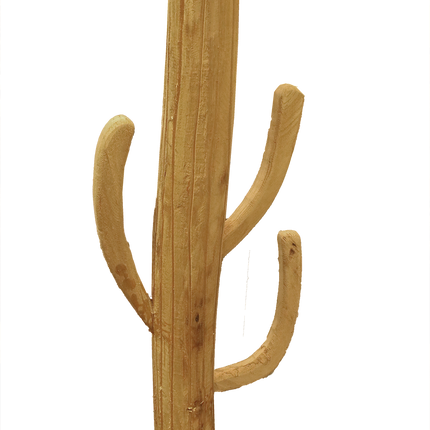 Cactus van hout
