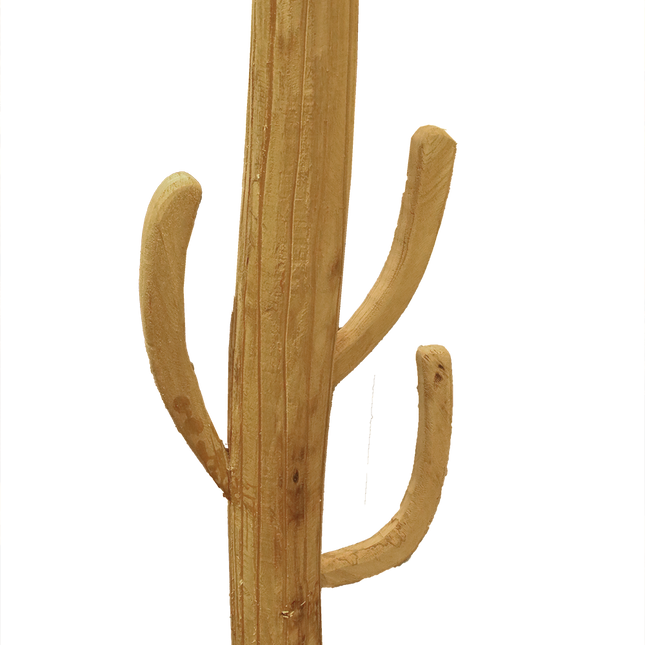 Cactus van hout