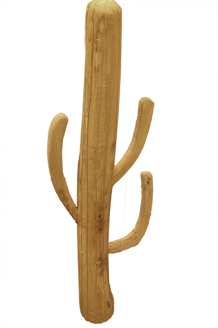 Cactus van hout