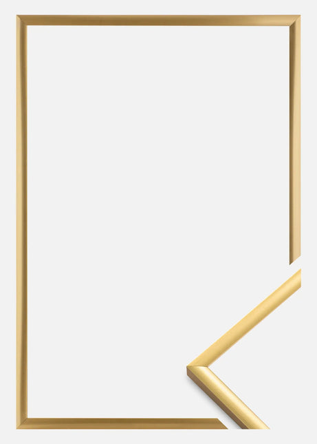 New Lifestyle - Composieten Fotolijst - Goud
