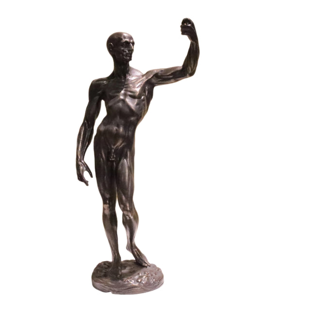 Beeld 'Bronze Strongman'