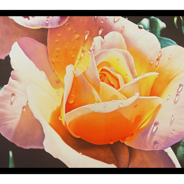 ingelijste poster 'The rose'