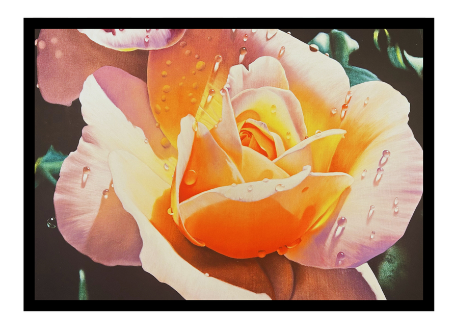 ingelijste poster 'The rose'