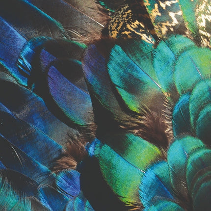 Aluart schilderij 'Pauwenveren'