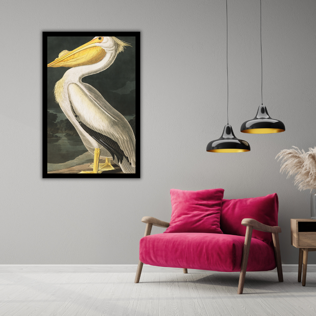 Ingelijste poster 'Pelikaan'