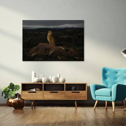 Aluart schilderij 'Cheetah met schildpadden'