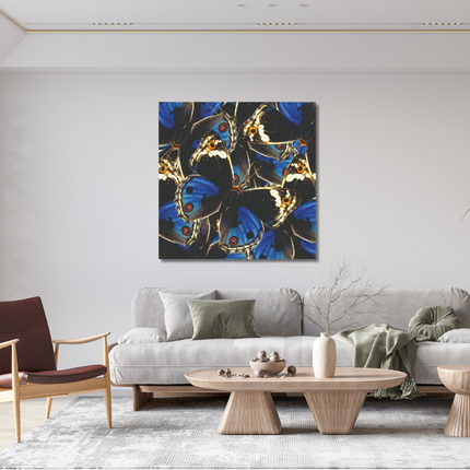 Aluart kunstwerk 'Blue and Black Butterflies'
