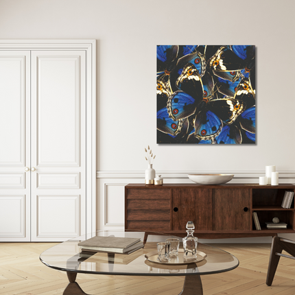 Aluart kunstwerk 'Blue and Black Butterflies'
