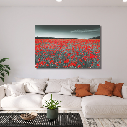 Aluart schilderij 'De klaprozen veld'
