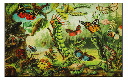 Mondiart vloerkleed 'Insecten tuin'