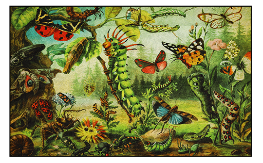 Vloerkleed 'Insecten tuin'