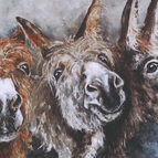50 x 100 cm