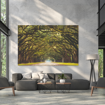 Aluart schilderij 'Wormsloe State Historic Site'