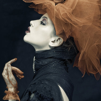Aluart schilderij 'Imperious Lady'