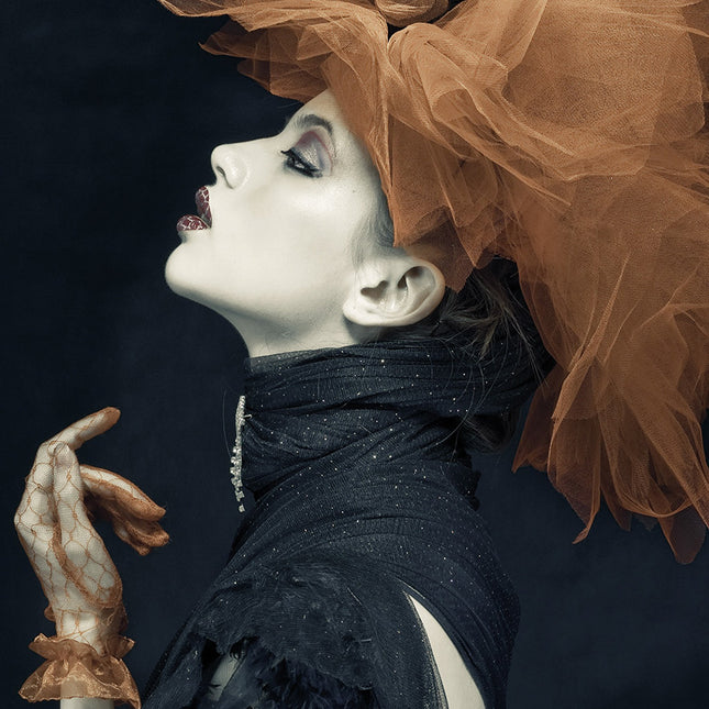 Aluart schilderij 'Imperious Lady'