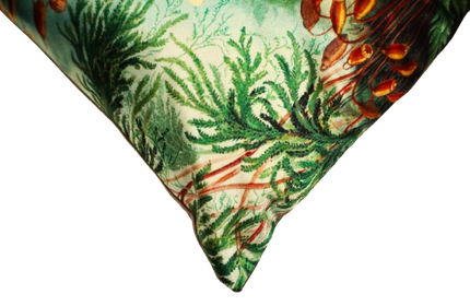 Sierkussen 'Muscinae'