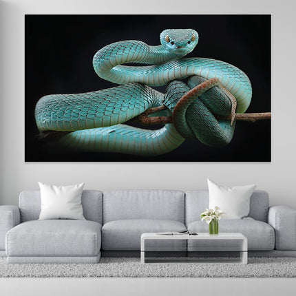 Aluart schilderij 'Trimeresurus insularis'