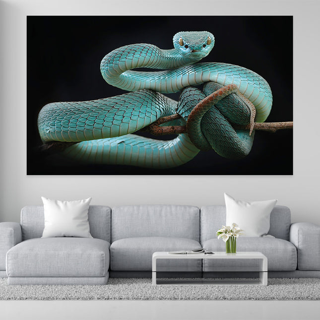 Aluart schilderij 'Trimeresurus insularis'