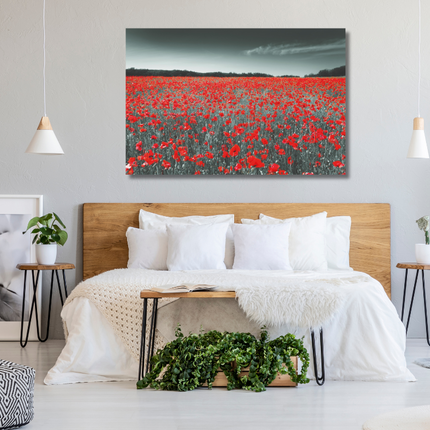 Aluart schilderij 'De klaprozen veld'
