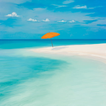 Aluart schilderij 'The beach'
