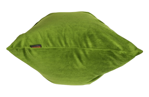 Sierkussen 'Parrot green'