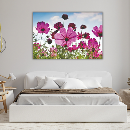 Aluart schilderij 'Cosmea'