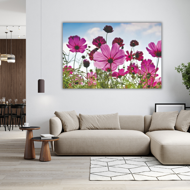 Aluart schilderij 'Cosmea'