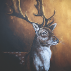 80 x 80 cm