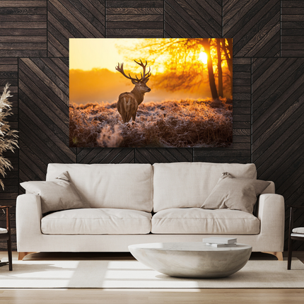 Aluart schilderij 'Deer in Morning Sun'