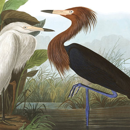 Wandkleed 'the Vintage Birds'
