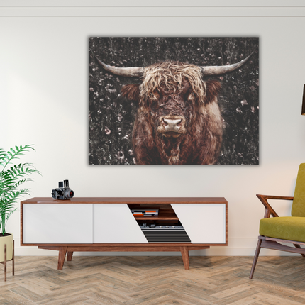 Aluart schilderij 'Schotse Hooglander'