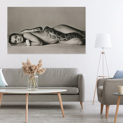 Aluart schilderij 'Nastassja Kinski The Serpent'