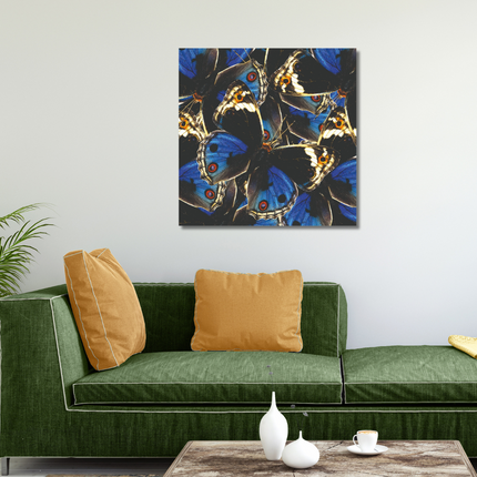 Aluart kunstwerk 'Blue and Black Butterflies'