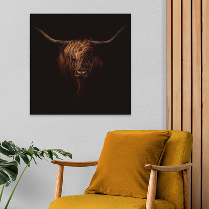 Aluart schilderij 'Schotse hooglander bad hair day'