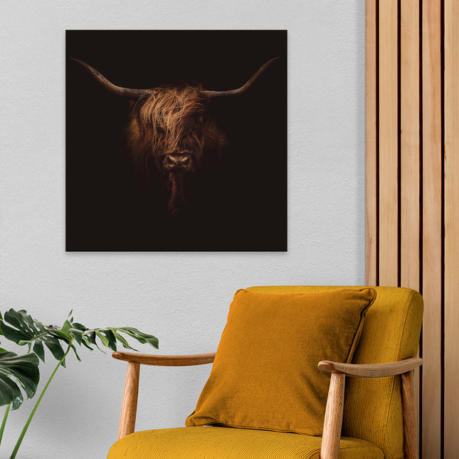 Aluart schilderij 'Schotse hooglander bad hair day'
