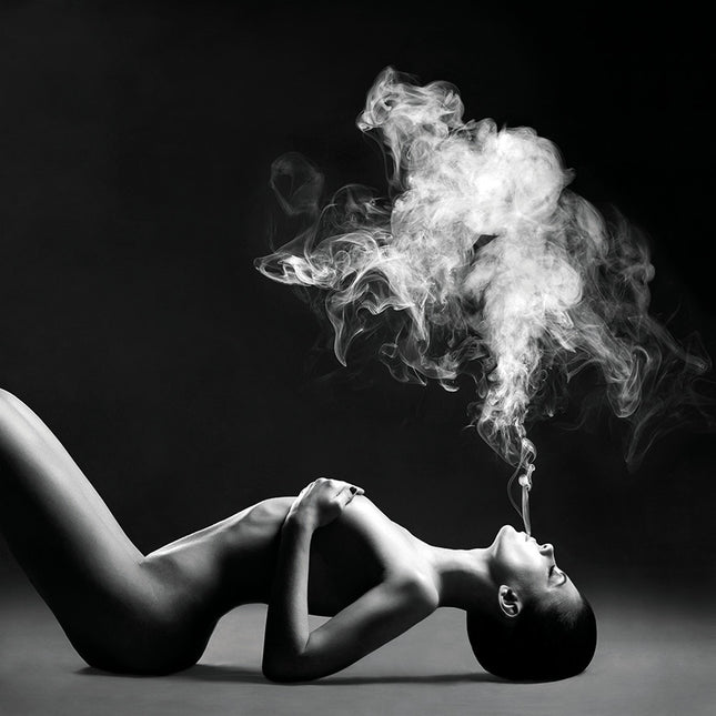 Aluart schilderij ´Smoking Hot'