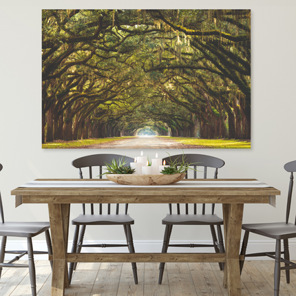 Aluart schilderij 'Wormsloe State Historic Site'