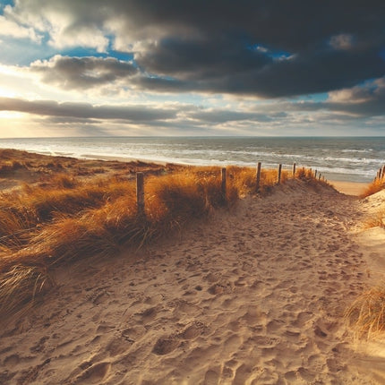 Glasschilderij 'Sunset over sand path'