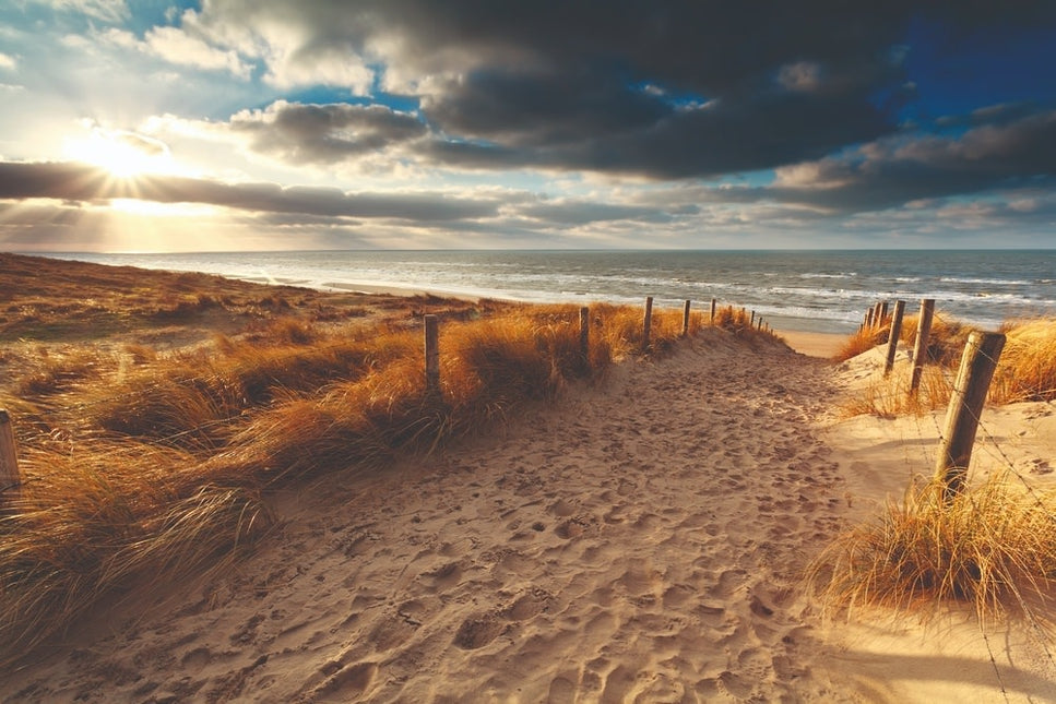 Glasschilderij 'Sunset over sand path'