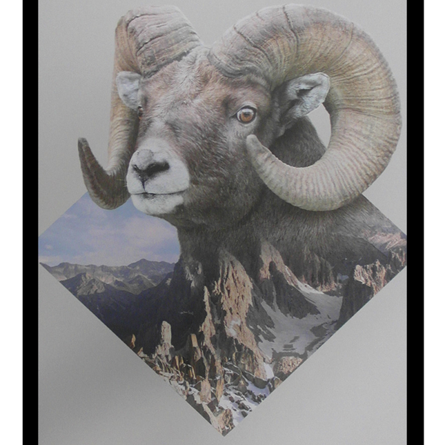 Ingelijste Poster 'Bok in natuur'